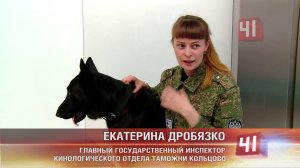 Декларацию наличных денег упростили