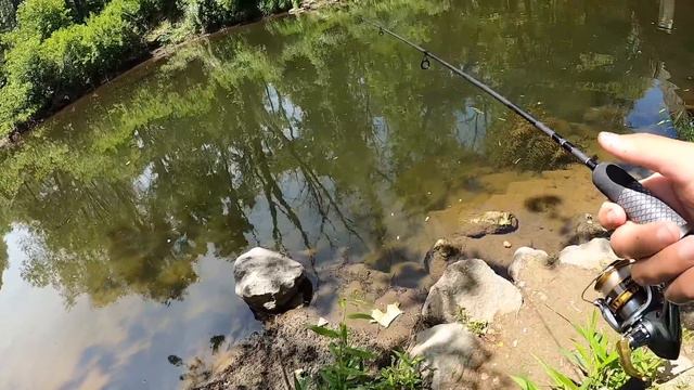 Fishing the CREEK! Eating Whatever I Catch (Catch and Cook) смотреть онлайн