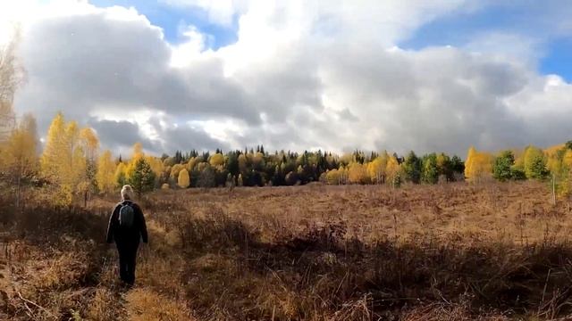 Виадуки и Аликаев камень, Урал смотреть онлайн