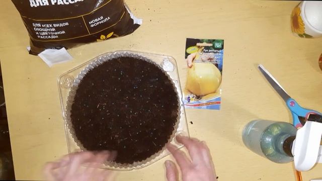 Сажаем гигантский лук ЭКСИБИШЕН смотреть онлайн