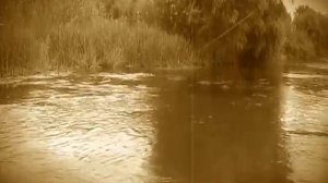 ловля голавля нахлыстом.mpg