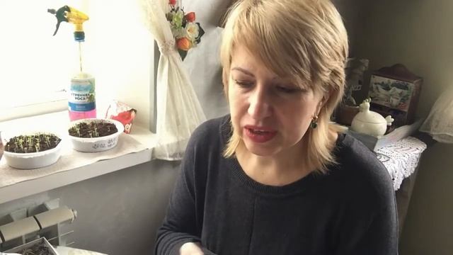 Длинное кино про хлеб ?/латвийский кисло-сладкий (новый выпуск)