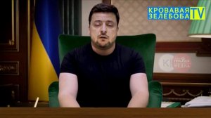 Когда Зеленскому тексты пишет Арестович.