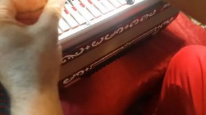 How to disassemble accordion Horch