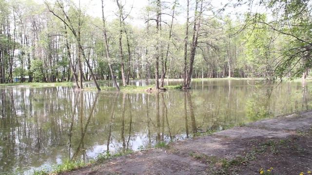 У пруда #санаторийимцюрупы смотреть онлайн