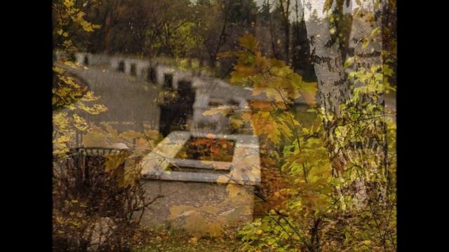 "А НЕ ВСПОМНИТЬ ЛИ НАМ ОСЕНЬ?"... (Фото Михаила Павлова (Москва), музыка Астора Пьяццоллы)