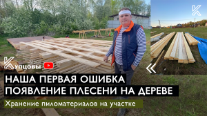Как правильно хранить дерево на участке и избавиться от плесени //// ?НАША ПЕРВАЯ ШИШКА