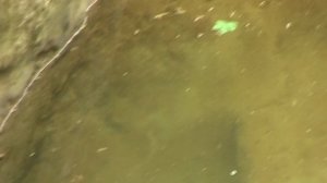 Гуамское ущелье летом