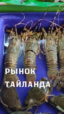 Еду сюда именно за этим. Морепродукты.