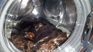 Стирка пледа - Hotpoint-Ariston - Хлопок 60° 800, доп.полоскание, быстрая стирка - Процесс стирки