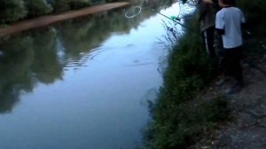 Супер Рыбалка!!!Поймать гигантского Карпа!!!!)))))