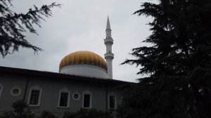 Батуми. Покупаю симку Magti.