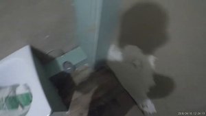 Ремонт совмещенного санузла