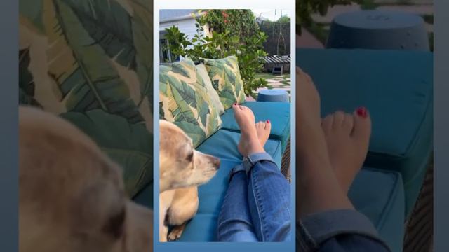 Angela Kinsey Feet