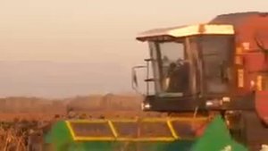 Жатка НАШ 873