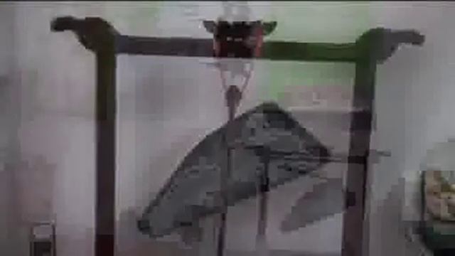 Клиника Традиционной Китайской Медицины "Евразия" смотреть онлайн