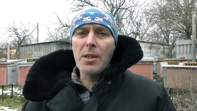 СОКРАЩЕНИЕ ПЧЕЛОСЕМЕЙ В ЗИМУ