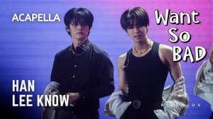 Lee Know X HAN - "Want so BAD" (ACAPELLA)