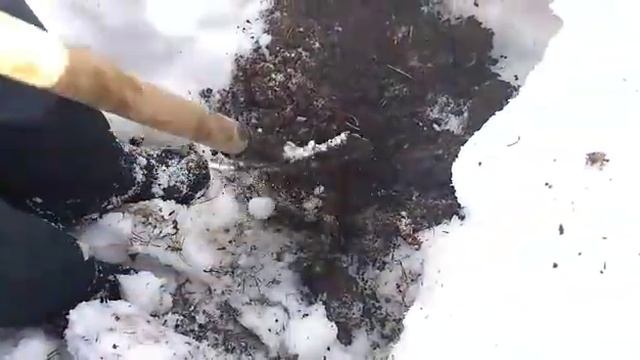 морковь из подснега смотреть онлайн