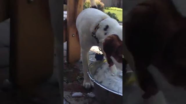 JRT ice cube splashing