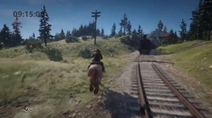 Horseman 9  with Strawberry Roan Ardennes : Arthur Riding in Chapter 6 : Red Dead Redemption 2