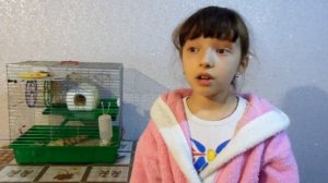 Ура! Мы купили хомячка :)