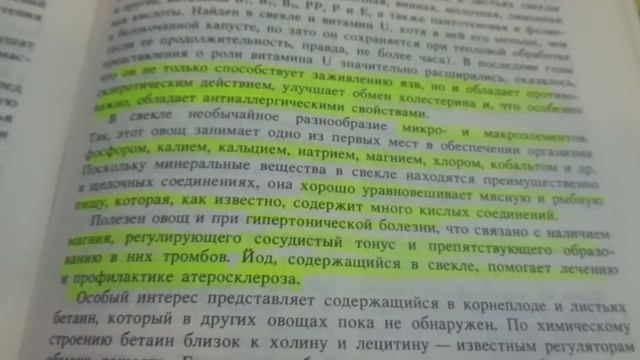 ДИЕТА ОГОРОДНИКА - 3. ЧЕМ МОЖНО ЗАМЕНИТЬ КАПУСТУ? Ольга Чернова. смотреть онлайн