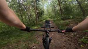 Лесной спринт