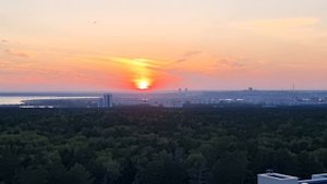 Вид с купола НГУ, Новосибирск, сентябрь 2023г. Белки в Академгородке.