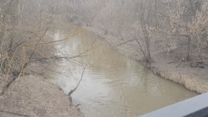 Москва, Матвеевское, река Сетунь. 15 апреля 2022, 13.54