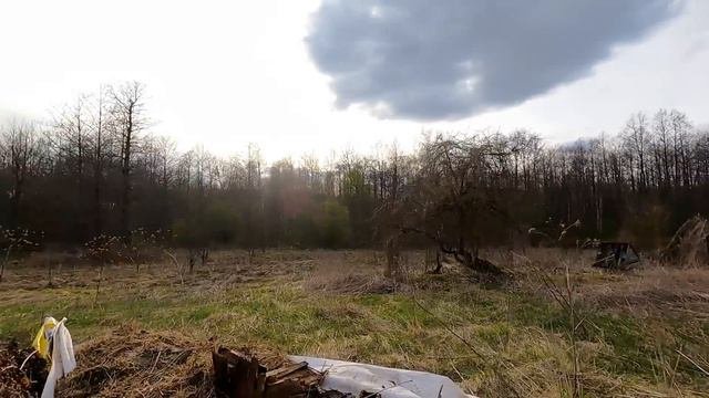 Восстанавливаю заброшенный хутор. Уборка участка продолжается. #хочувдеревню #хутор #домвдеревне