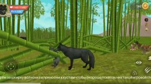 Wild craft:как легко убить Гималайского медведя