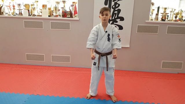 Базовые блоки в киокушин карате. Часть 2. Kyokushin karate basic blocks, Part 2. смотреть онлайн