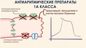 Антиаритмические препараты 1 Класса-блокаторы натриевых каналов