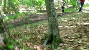 Киа спортейдж1 Оффроад в лесу