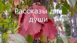 ? Любовница мужа беременна, у него все отлично в личной жизни, а я оказалась за бортом...