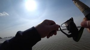 БОЛЬШИЕ СУДАКИ С БЕРЕГА / РЫБАЛКА В НОВОСИБИРСКЕ / ЛОВЛЯ СУДАКА ВЕСНОЙ.