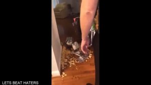 Подборка смешных видео и приколов 121? Лучшие ПРИКОЛЫ 2023