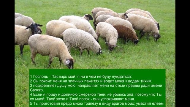 Вальдемар Богер - 