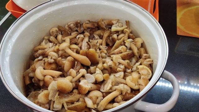 ГРИБЫ В ПОДМОСКОВЬЕ 07.10.2022, ИТОГИ МОЕЙ ГРИБАЛКИ. смотреть онлайн