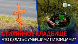 Неизвестные устроили в центре Краснодара похороны для домашнего питомца