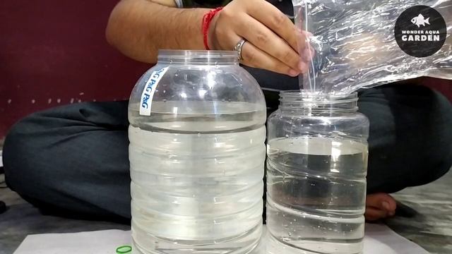 How to Culture Moina in Tamil | Moina Culture | தமிழ் | Wonder Aqua Garden смотреть онлайн