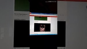 Как скачать видео из сообщений