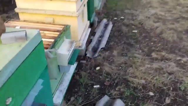 Клуб у задней стенки - это нормально или нет? смотреть онлайн