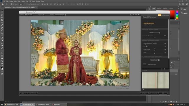 instructions for install manualy retouch panel and nik collection dxo смотреть онлайн