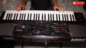 KORG PA 1000 Мальчишник ночь