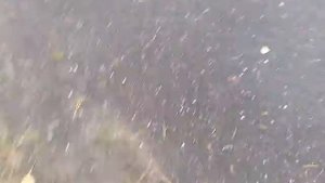 Открытый перелом носа ЖЕСТЬ!!!