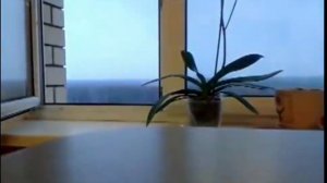 Парень спрыгнул с 13 этожа 😭🧐