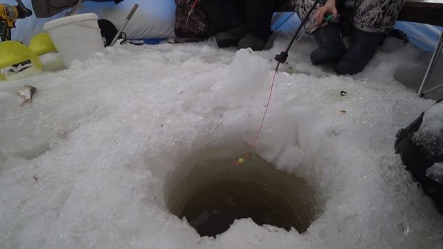 решили половить сигов, но что то пошло не так))) смотреть онлайн