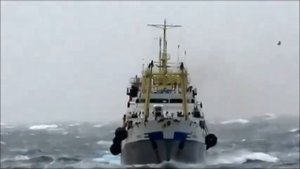 Мы говорим не штормы а шторма